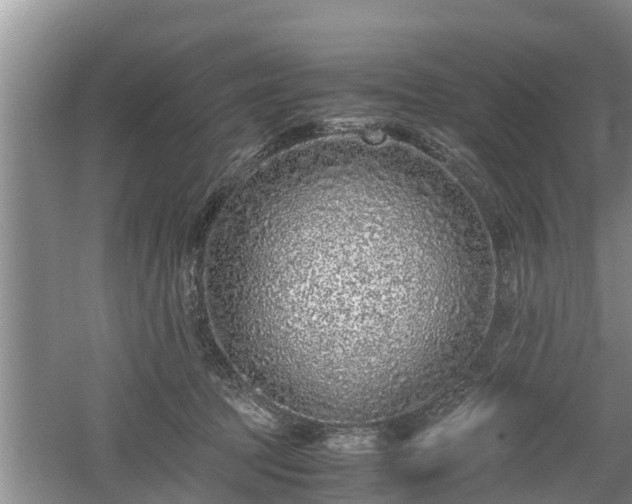 X0000061720369200512050913