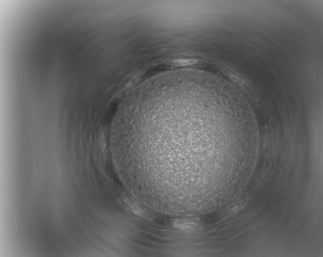 X0000061720373200512050913