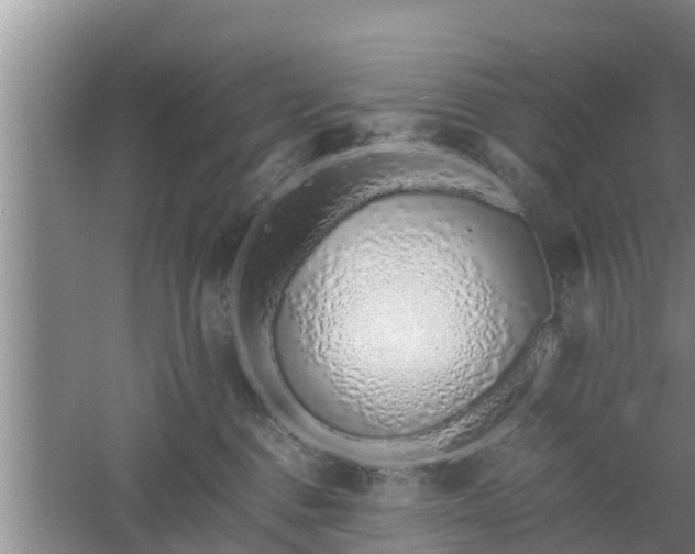 X0000061720376200512050913