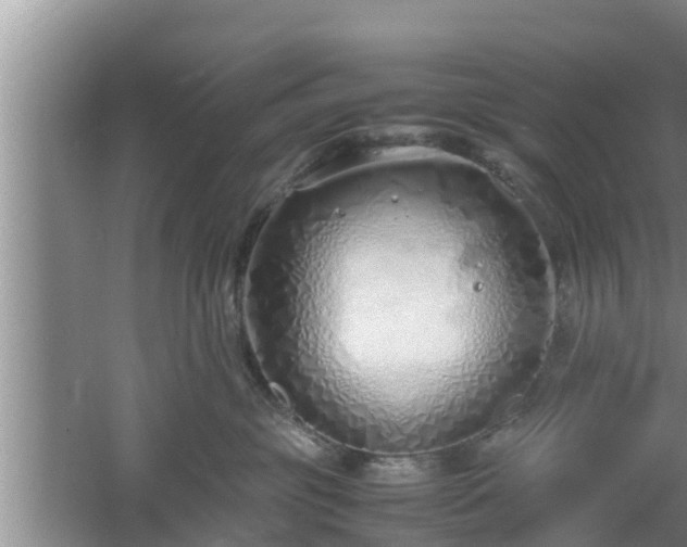 X0000061720381200512050913