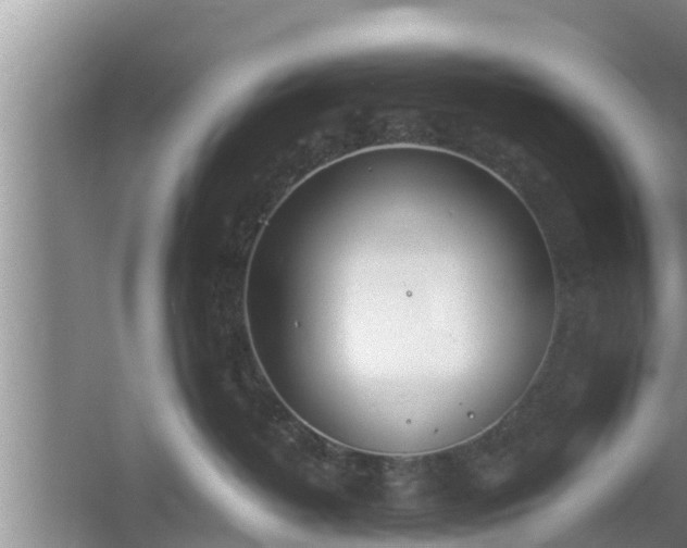 X0000061720382200512050913