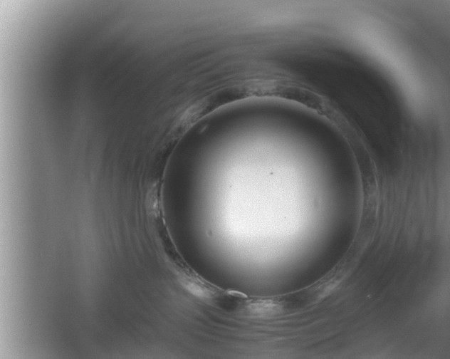 X0000061720383200512050913