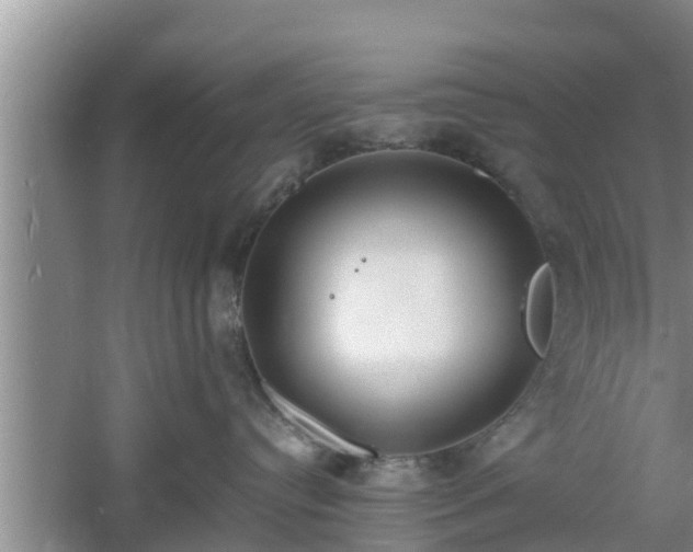 X0000061720384200512050913