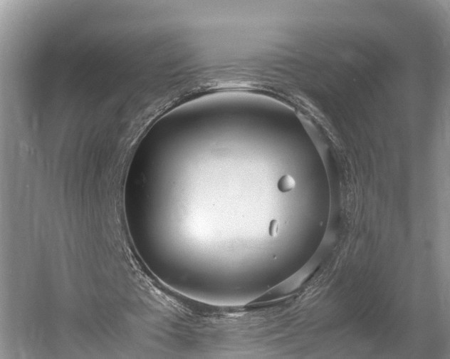 X0000061720385200512050912