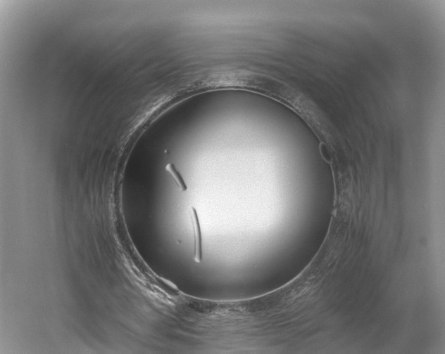 X0000061720386200512050912