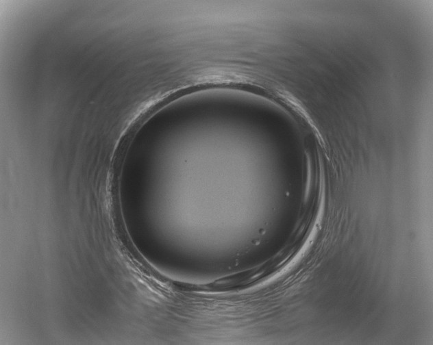 X0000061720387200512050912