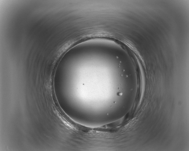 X0000061720389200512050912