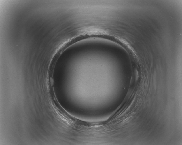 X0000061720391200512050912