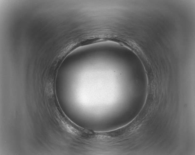 X0000061720393200512050912