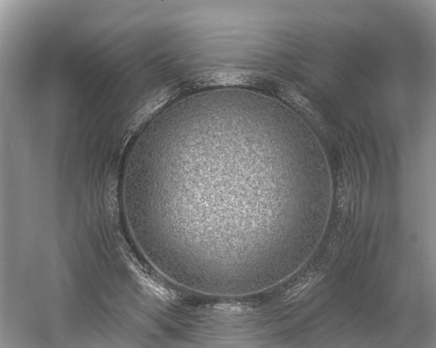 X0000061720394200512050912