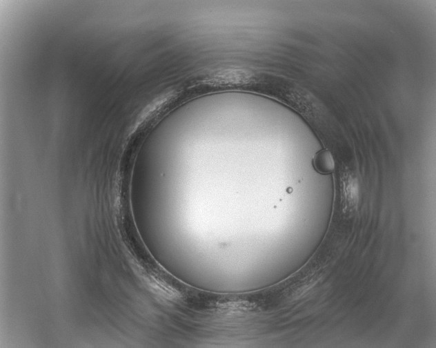 X0000061720396200512050912