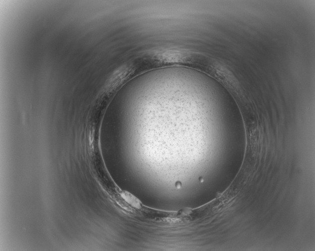 X0000061720406200512050912