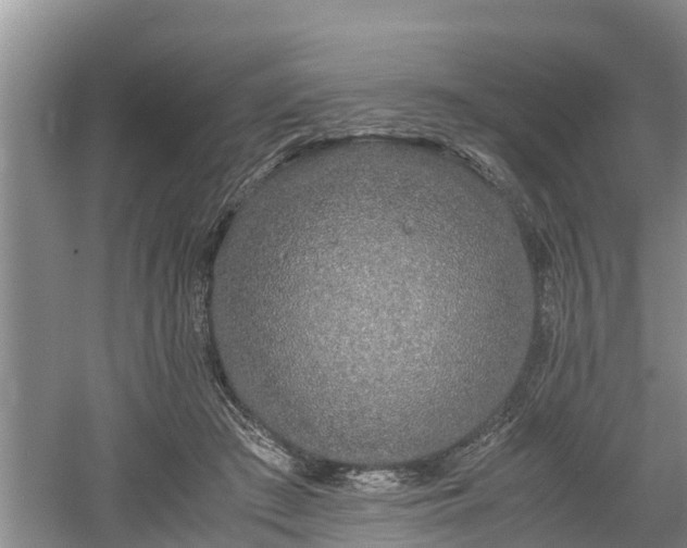 X0000061720409200512050912