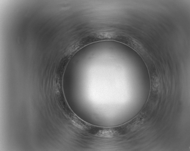 X0000061720414200512050912