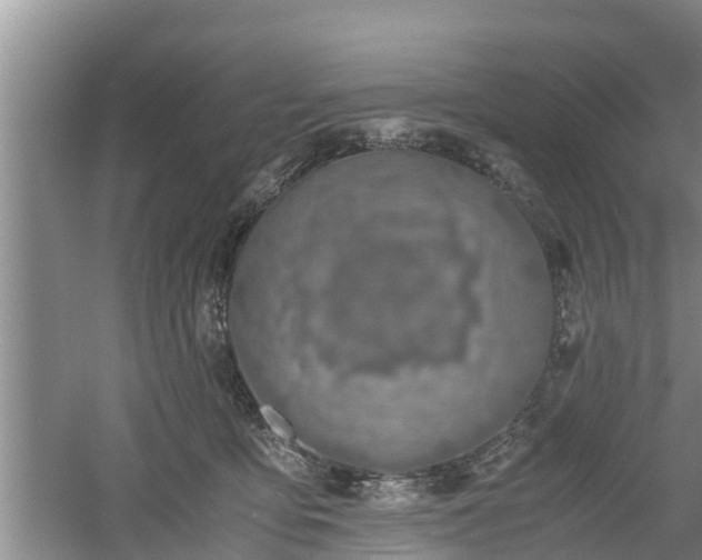 X0000061720419200512050912