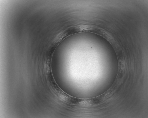 X0000061720422200512050912