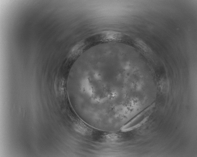 X0000061720423200512050912