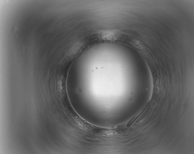 X0000061720424200512050912