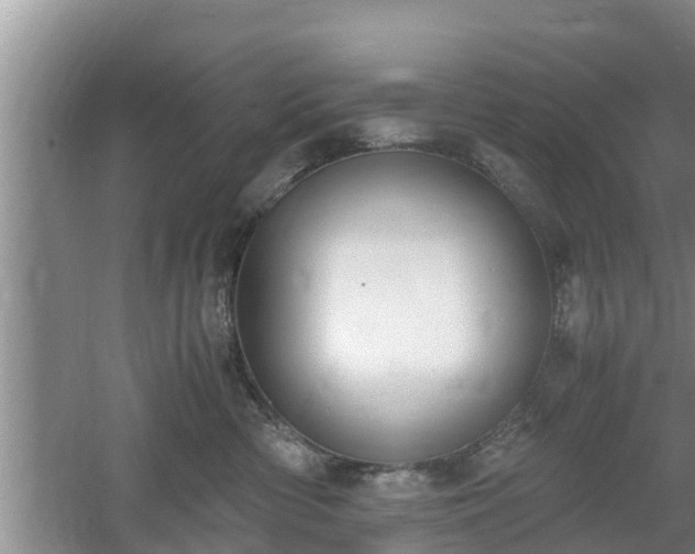 X0000061720426200512050912