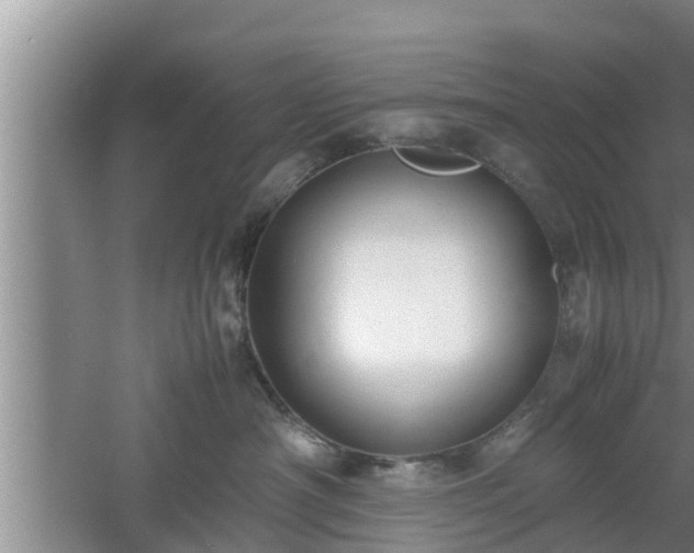 X0000061720430200512050912