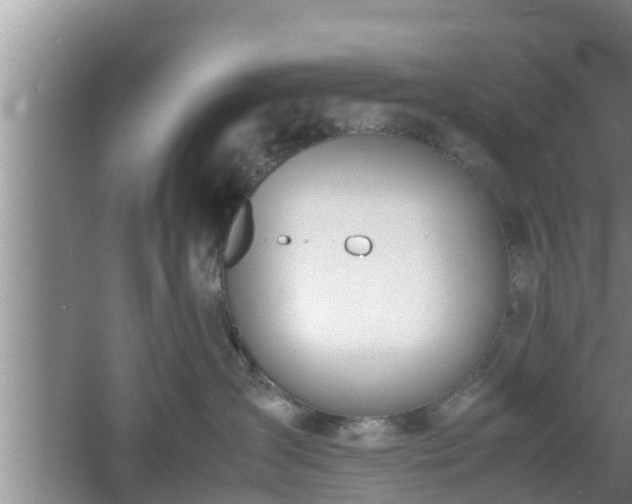 X0000061720431200512050912