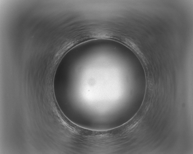 X0000061720433200512050911