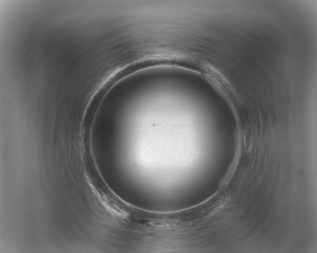 X0000061720436200512050911