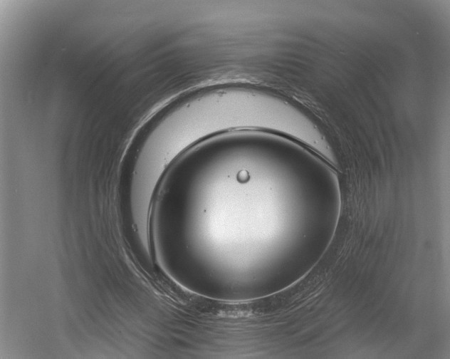 X0000061720440200512050911