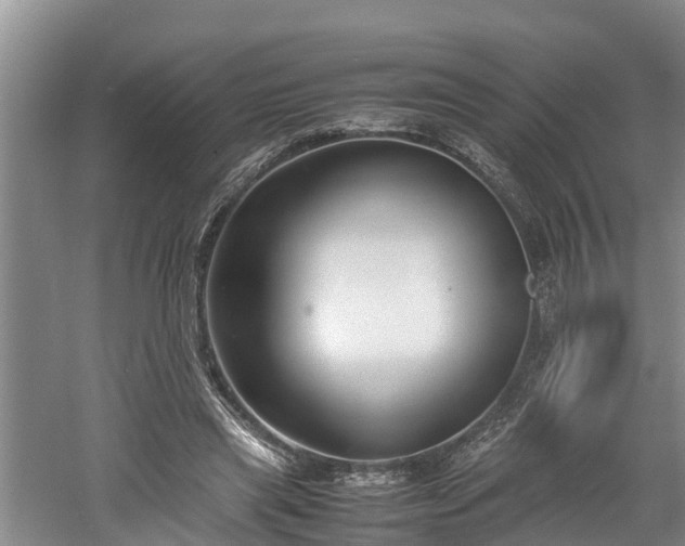 X0000061720445200512050911