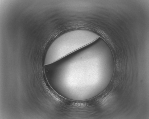 X0000061720449200512050911