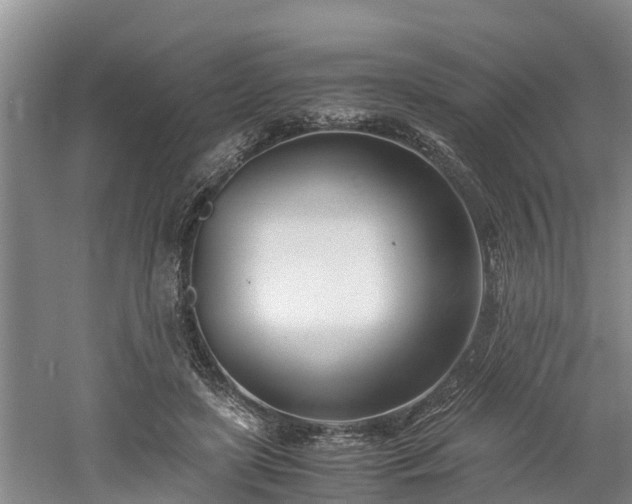 X0000061720451200512050911