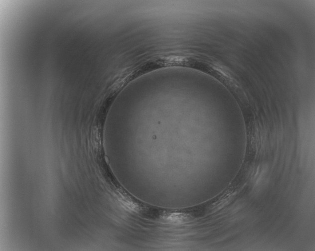 X0000061720467200512050911