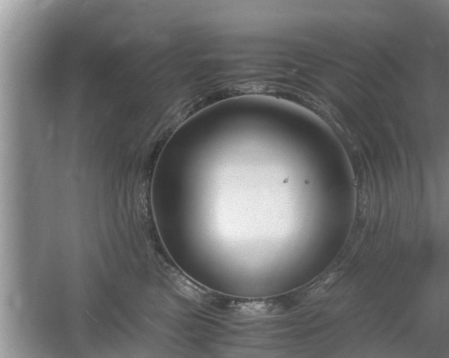 X0000061720473200512050911