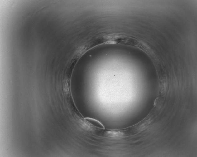 X0000061720477200512050911