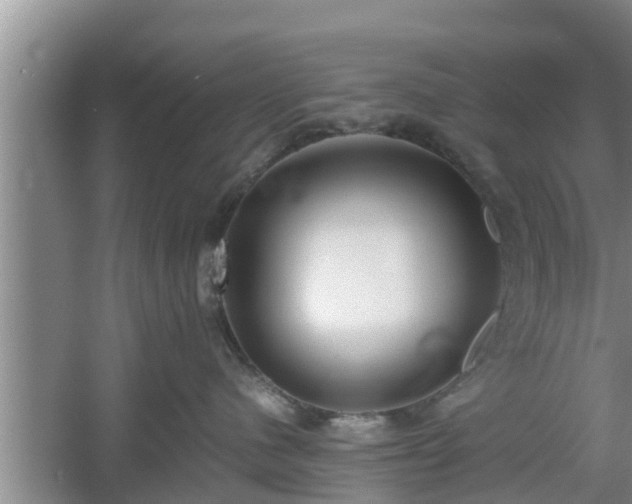 X0000061720480200512050912