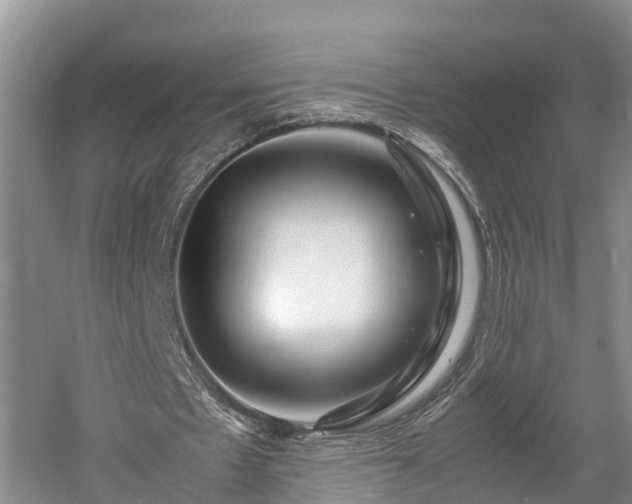 X0000061720481200512050911