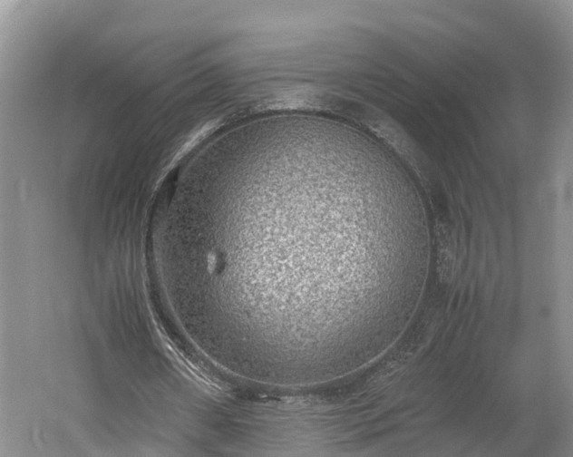 X0000061720482200512050911