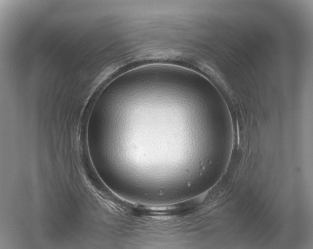 X0000061720483200512050911