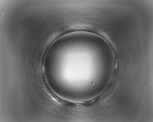 X0000061720485200512050911