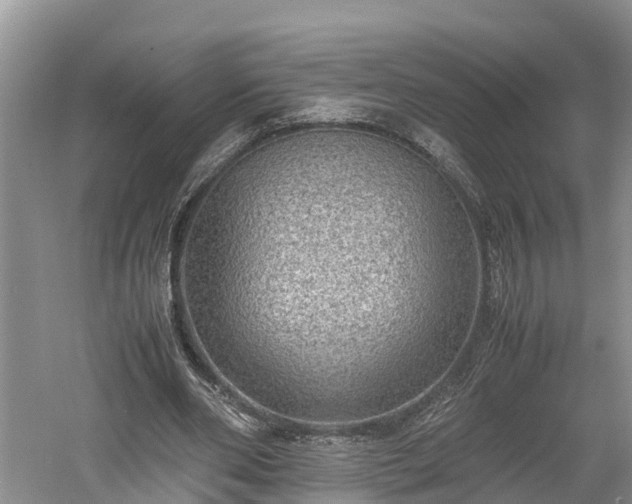 X0000061720486200512050911