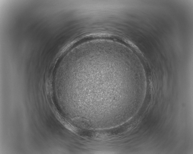 X0000061720487200512050911