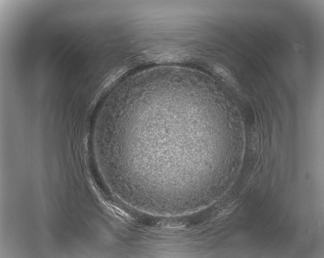 X0000061720491200512050911