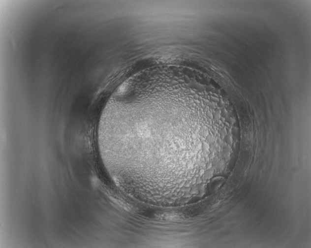 X0000061720503200512050910