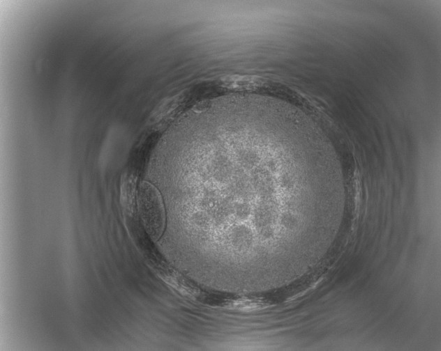 X0000061720511200512050910