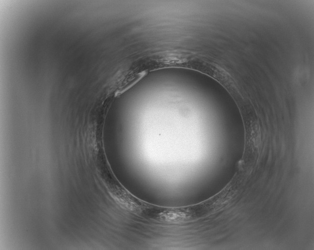 X0000061720512200512050910