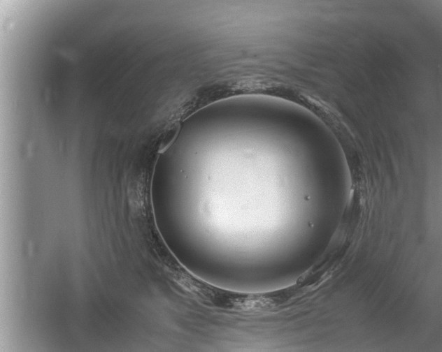 X0000061720517200512050910