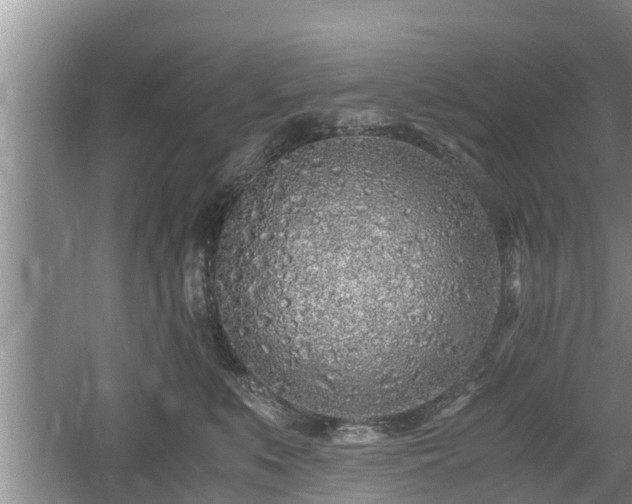 X0000061720519200512050910