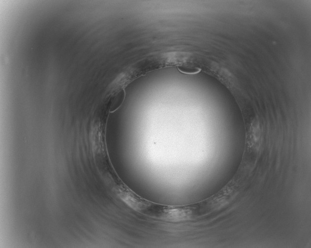 X0000061720522200512050910