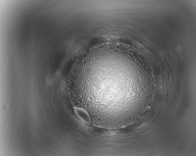 X0000061720523200512050910