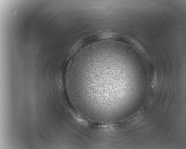 X0000061720524200512050910